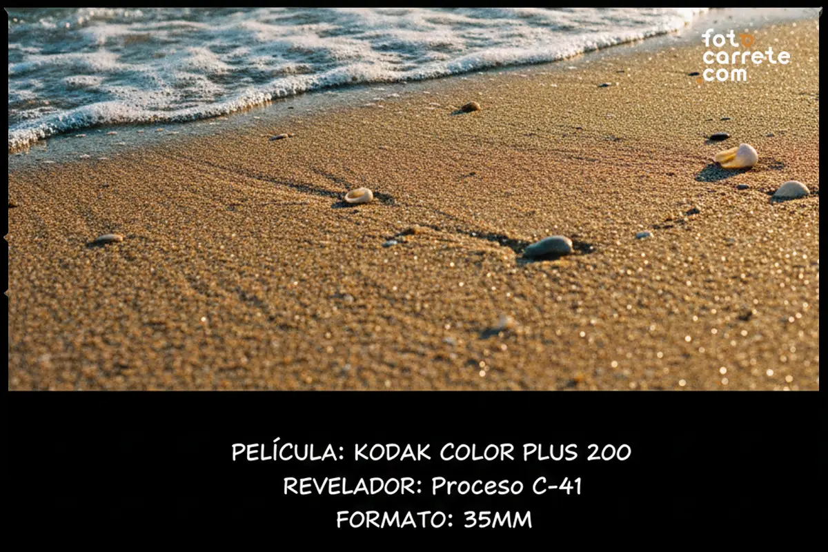 Textura de arena de playa y conchas al atardecer tomada con Kodak Color Plus 200.