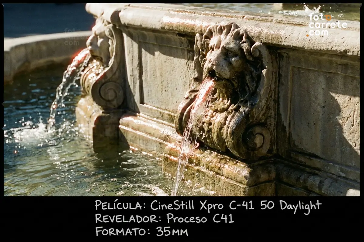 Detalle del agua cayendo de unas cabezas de león de piedra en una fuente, con CineStill 50D.