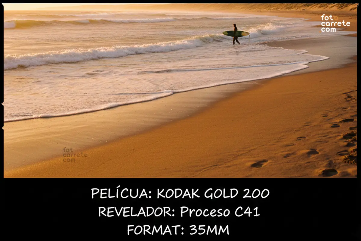 Detalle de adoquines mojados y hojas de otoño con carrete CineStill 400D.