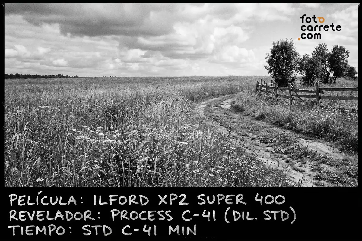 Fotografía de paisaje de campo en blanco y negro tomada con película Ilford XP2 Super 400 y procesada en C-41.