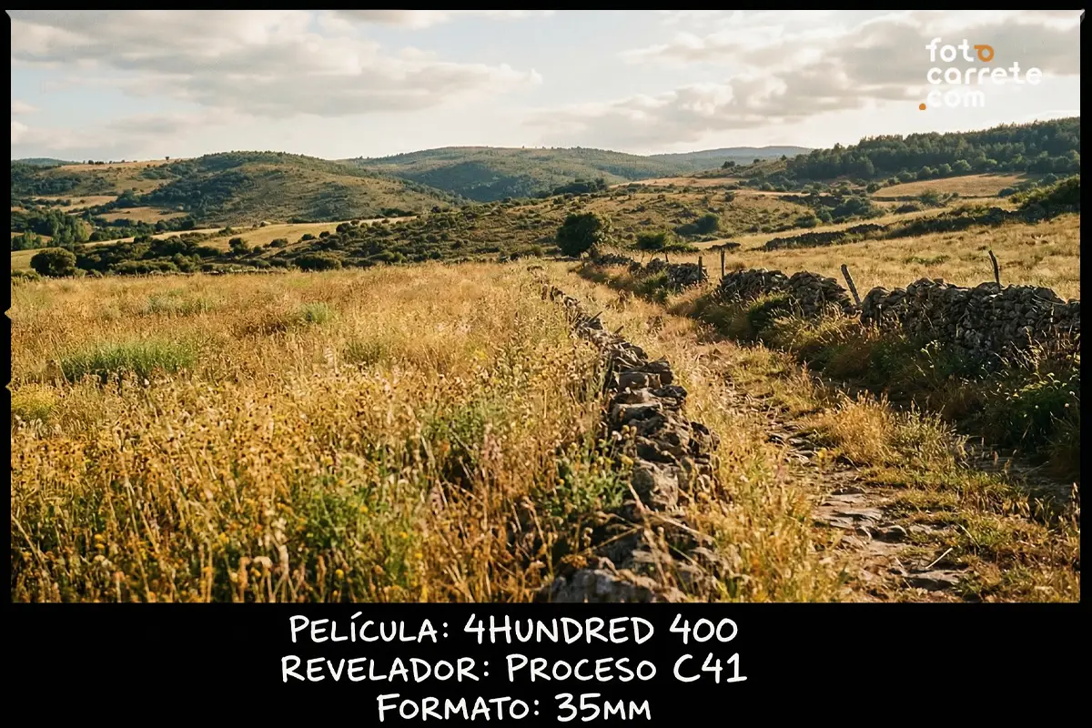 Paisaje rural con muro de piedra seca fotografiado con película a color 4HUNDRED 400.