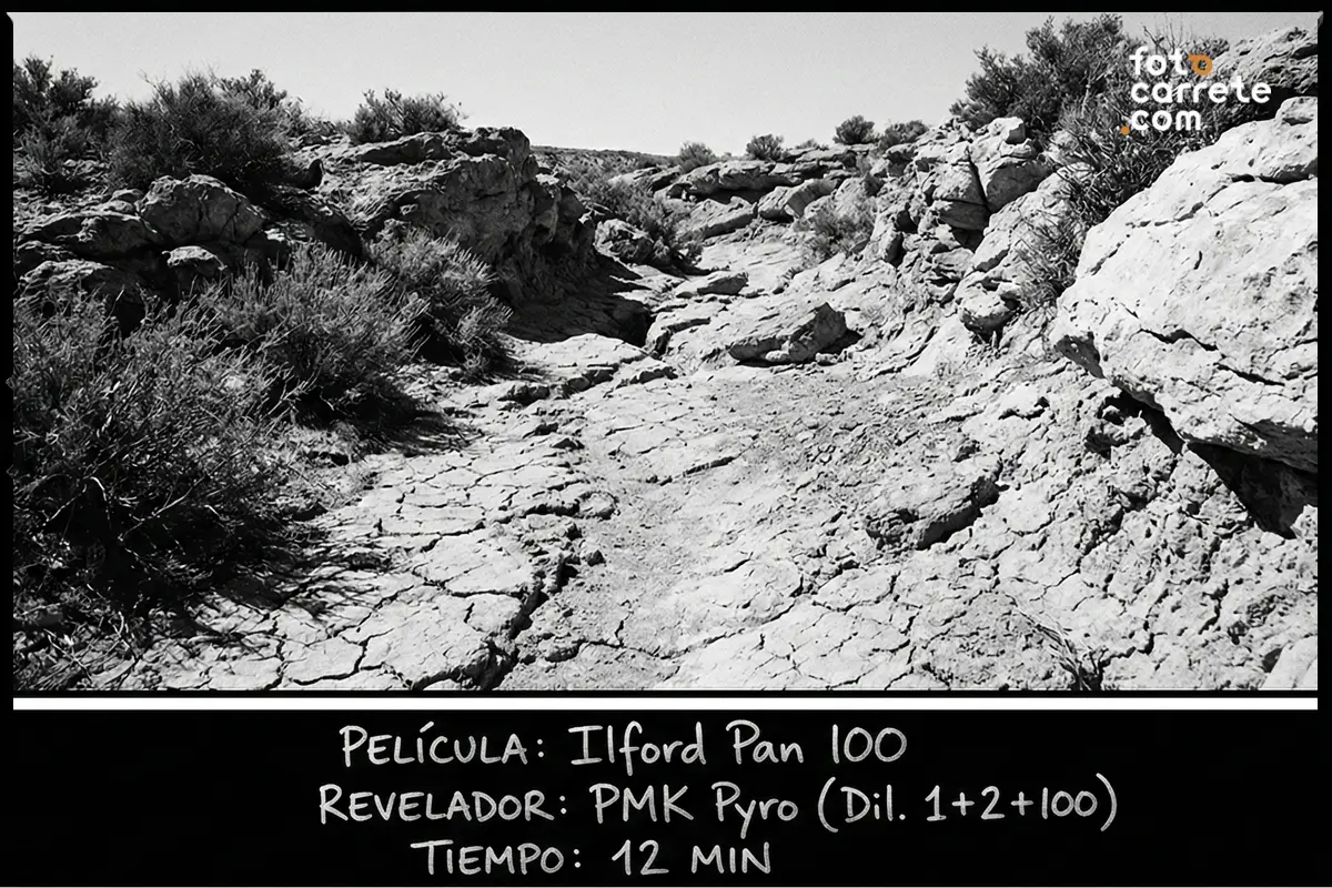 Paisaje árido en blanco y negro fotografiado con Ilford Pan 100 y revelador PMK Pyro