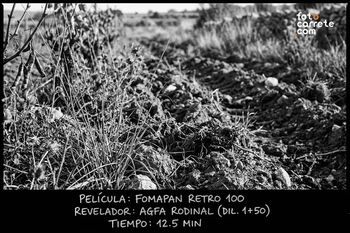 Fotografía de campo arado en blanco y negro disparada con Fomapan Retro 100 y revelador Agfa Rodinal.