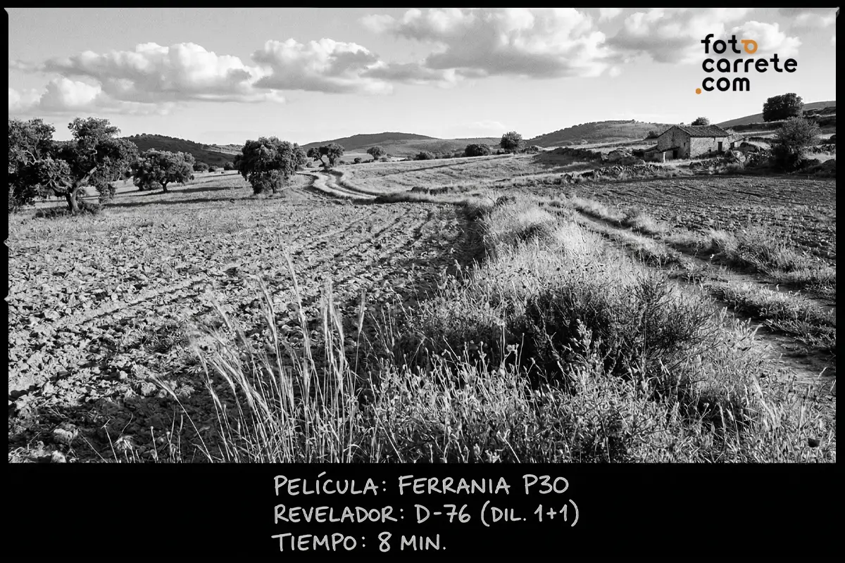 Paisaje rural de campo labrado y árboles en blanco y negro, tomado con película Ferrania P30 y revelador D-76.