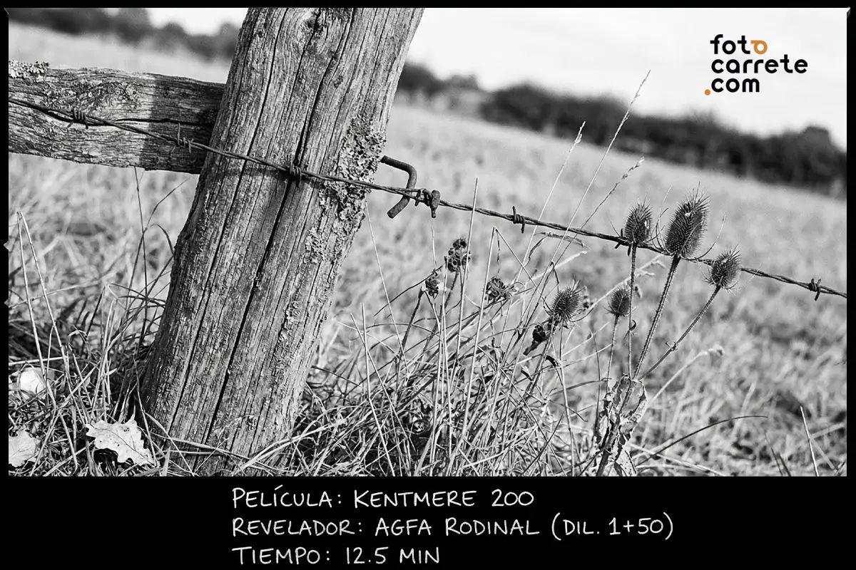 Fotografía de detalle rural en blanco y negro con poste de madera y alambre de espino, usando Kentmere 200.