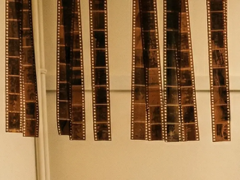 Tiras de película negativa secándose en un laboratorio fotográfico