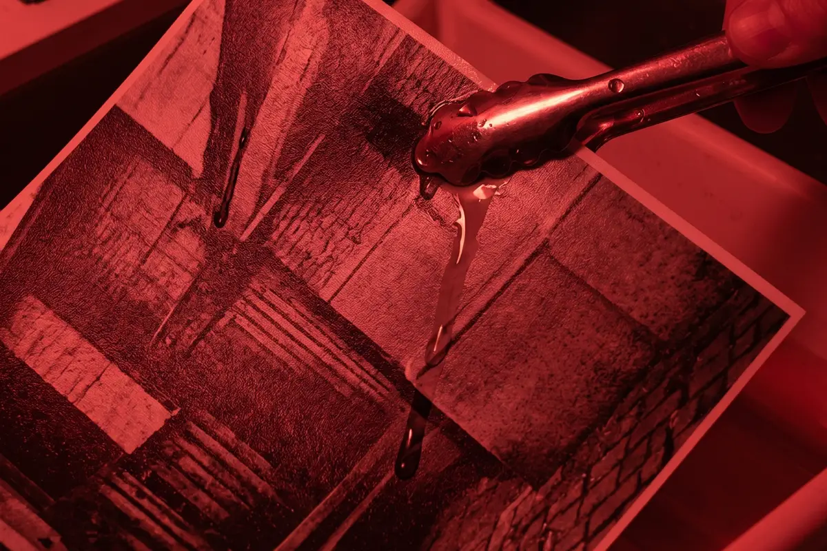 Fotografía en papel Fomabrom mate escurrida con pinzas en bandeja de revelado bajo luz roja.
